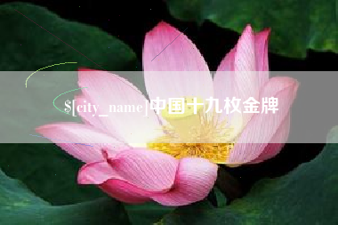 江苏中国十九枚金牌