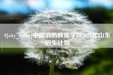 江苏中国消防救援学院2021年山东招生计划