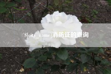 江苏消防证的查询