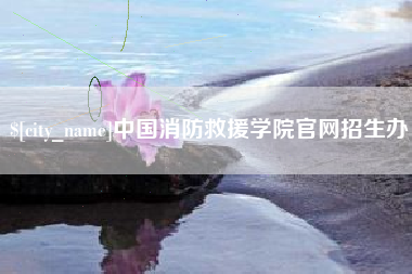 江苏中国消防救援学院官网招生办