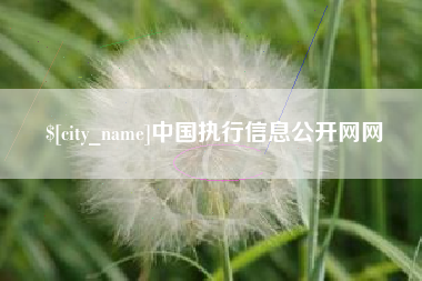 江苏中国执行信息公开网网