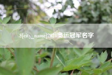 江苏2024奥运冠军名字