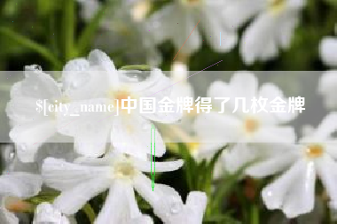 江苏中国金牌得了几枚金牌