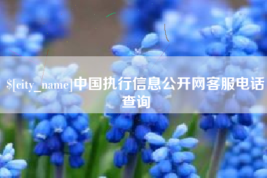 江苏中国执行信息公开网客服电话查询