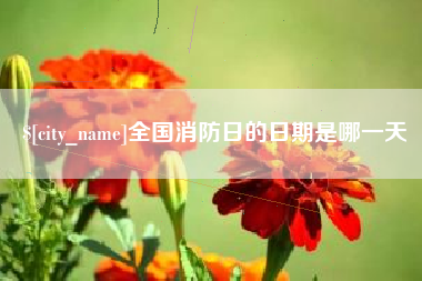 江苏全国消防日的日期是哪一天