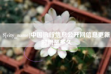 江苏中国执行信息公开网信息更新时间是多久