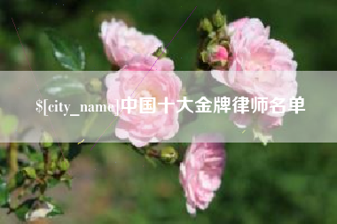 江苏中国十大金牌律师名单