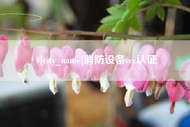 江苏消防设备ccc认证