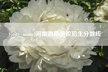 江苏河南消防学校招生分数线