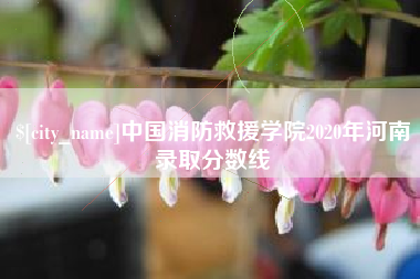 江苏中国消防救援学院2020年河南录取分数线