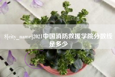 江苏2021中国消防救援学院分数线是多少