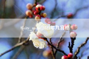 江苏2821年九宫格