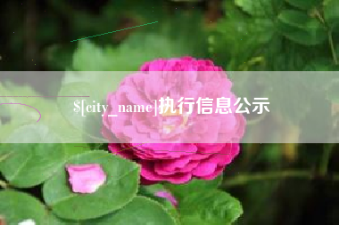江苏执行信息公示
