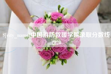 江苏中国消防救援学院录取分数线2020