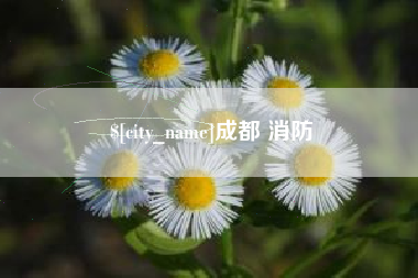 江苏成都 消防