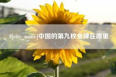 江苏中国的第九枚金牌在哪里