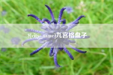 江苏九宫格盘子