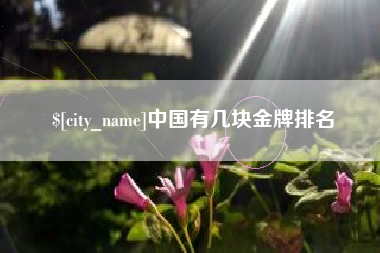 江苏中国有几块金牌排名