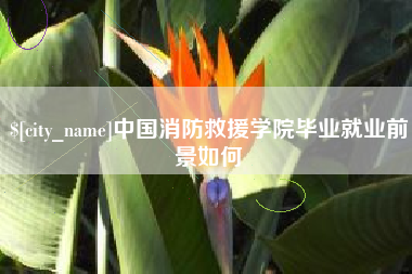 江苏中国消防救援学院毕业就业前景如何