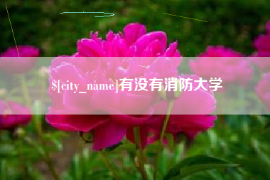 江苏有没有消防大学