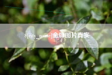江苏金牌图片真实