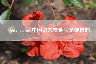 江苏中国第九枚金牌是谁得的