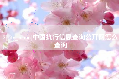 江苏中国执行信息查询公开网怎么查询