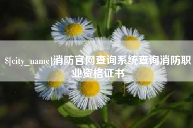 江苏消防官网查询系统查询消防职业资格证书