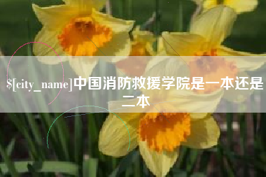 江苏中国消防救援学院是一本还是二本