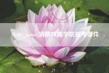 江苏消防救援学院报考条件