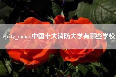 江苏中国十大消防大学有哪些学校