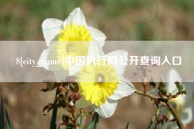 江苏中国执行网公开查询入口