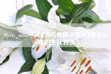 江苏中国消防救援学院2020年在山东招生计划表