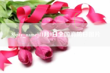 江苏11月9日全国消防日图片