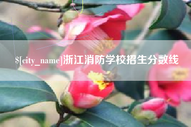 江苏浙江消防学校招生分数线