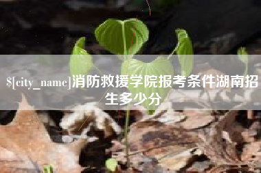 江苏消防救援学院报考条件湖南招生多少分