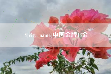 江苏中国金牌18金