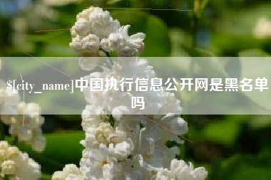 江苏中国执行信息公开网是黑名单吗