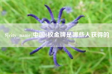 江苏中国6枚金牌是哪些人获得的