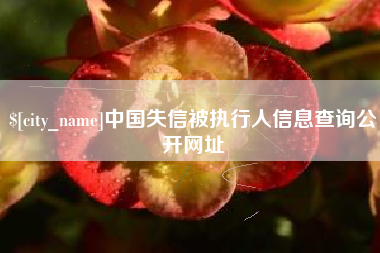 江苏中国失信被执行人信息查询公开网址