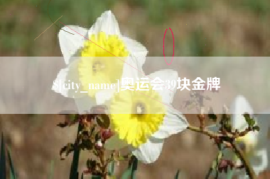 江苏奥运会39块金牌