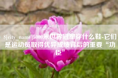 江苏5000米世界冠军穿什么鞋-它们是运动员取得优异成绩背后的重要“功臣”