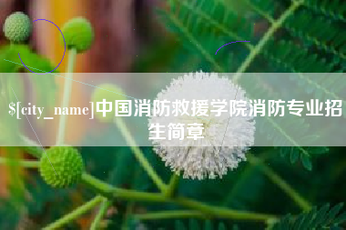 江苏中国消防救援学院消防专业招生简章