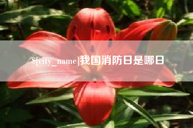 江苏我国消防日是哪日