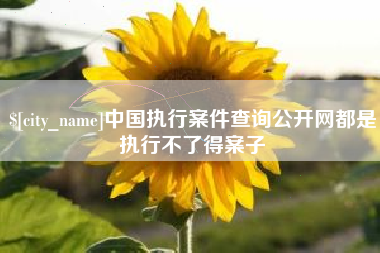 江苏中国执行案件查询公开网都是执行不了得案子