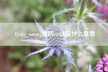 江苏消防ccc认证什么意思