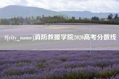 江苏消防救援学院2020高考分数线