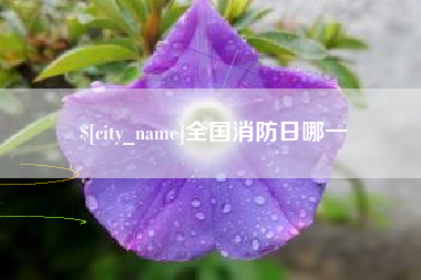 江苏全国消防日哪一