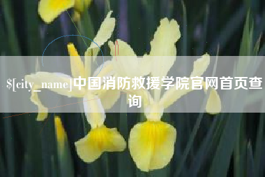 江苏中国消防救援学院官网首页查询
