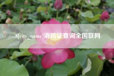 江苏消防证查询全国联网